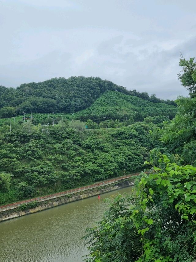 공중에 떠있는 아라전망대