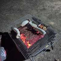 여름하면 캠핑!🏕️ 반려견과 함께하는 ‘몽산포청솔오토캠핑장’