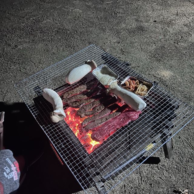 여름하면 캠핑!🏕️ 반려견과 함께하는 ‘몽산포청솔오토캠핑장’