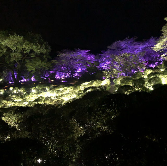 【御船山楽園ホテル】サウナとチームラボを満喫
