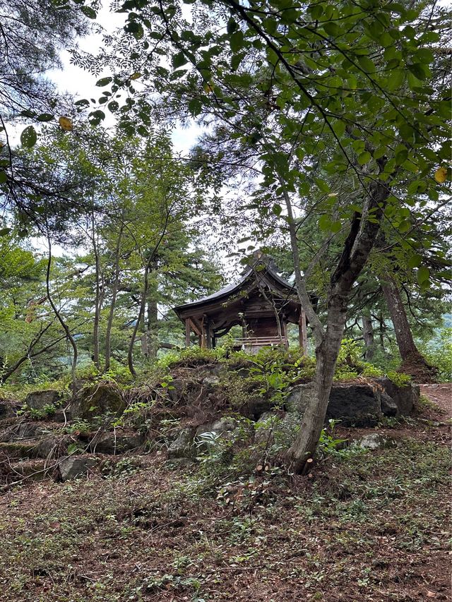 白川鄉 ｜荻町城跡展望台眺望合掌村📸