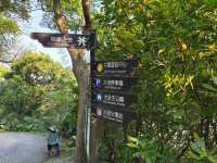 新北-清朝留下的古道🌿草嶺古道|（風景優美）