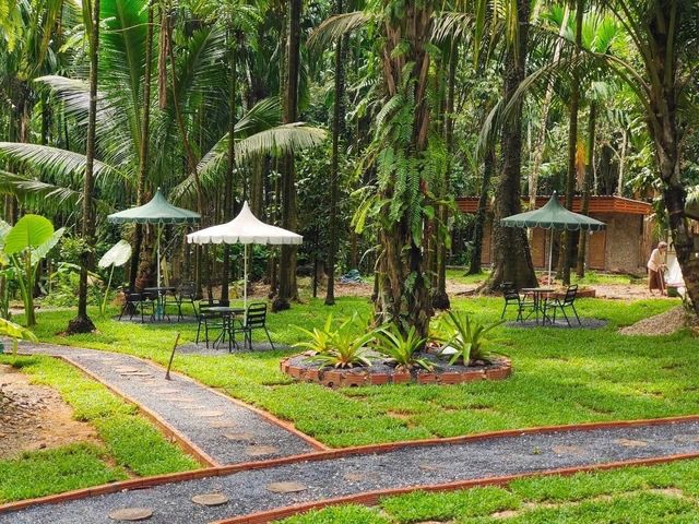 คาเฟ่บ้านวังเข้ ห้วยยอด ตรัง 🤍🍃