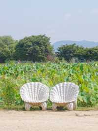 서울 근교 양평 당일치기 여행코스