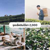 4 จุดเช็คอินเมื่ิอไปดอยอ่างขาง