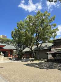 《 兵庫 ・神戸》 "縁結びの神様" 神戸三大神社⛩️生田神社