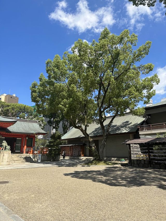 《 兵庫 ・神戸》 "縁結びの神様" 神戸三大神社⛩️生田神社