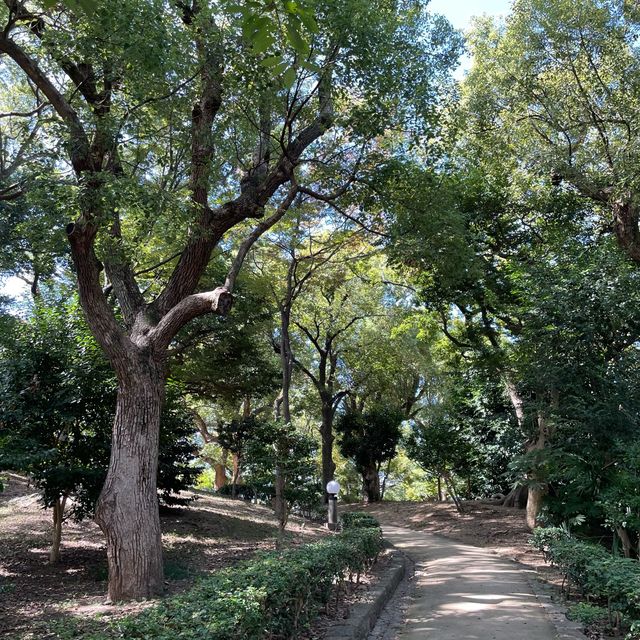 【大阪府】歴史的に有名な激戦地「茶臼山」