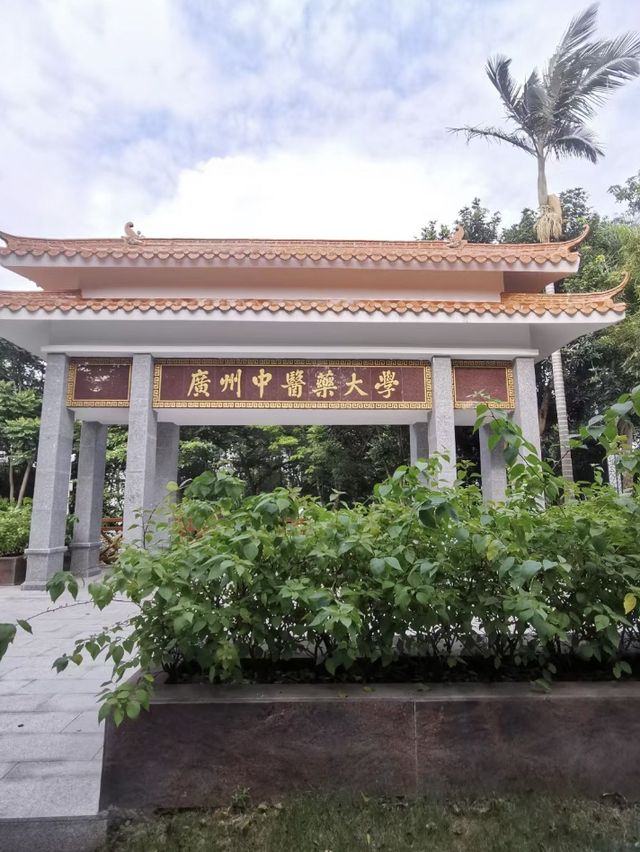 中醫的秘密🌿📚💫 廣東中醫藥博物館