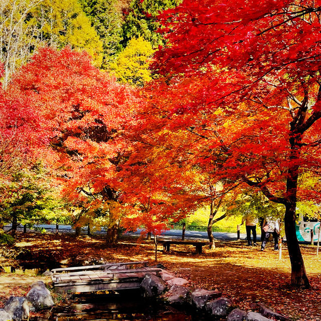 【長野県/紅葉が美しい🍁”出早雄小萩神社”と”出早公園”】