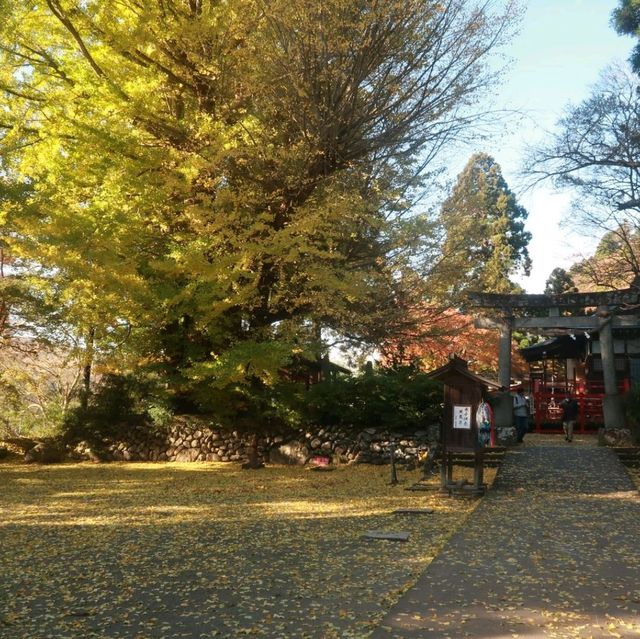 一個香港人不熟悉的山形景點「山寺」
