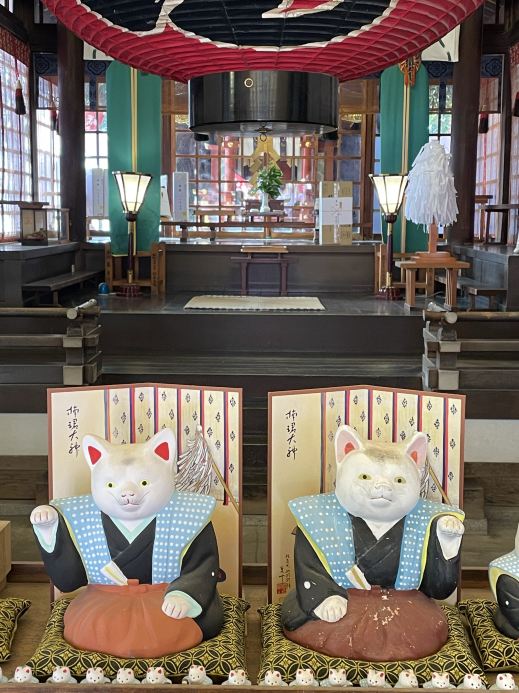 大阪府/楠珺社】招福猫と樹齢1000年の御神木 | Trip.com 大阪