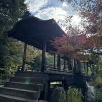 【京都】穴場の紅葉スポット！渉成園