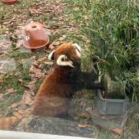 まるでサバンナ？天王寺動物園