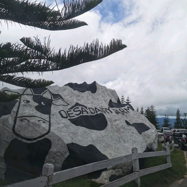 Desa Farm Kundasang, Sabah