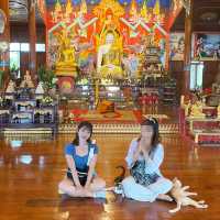 태국 빠이 Wat Tan Chet Ton 스쿠터여행 중 우연히 발견한 사원