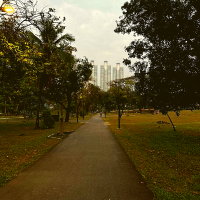 🏞️ สวนที่มากกว่าสวนสาธารณะ