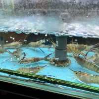 海鮮放題大滿足