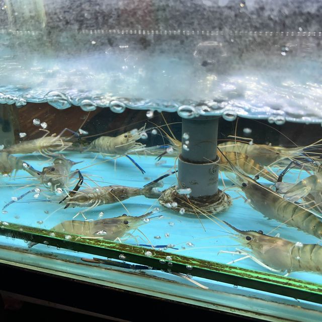 海鮮放題大滿足