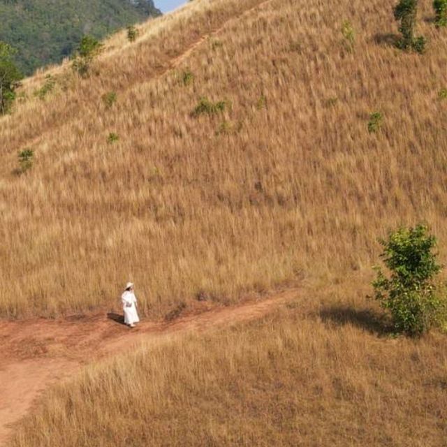 ภูเขาหญ้า