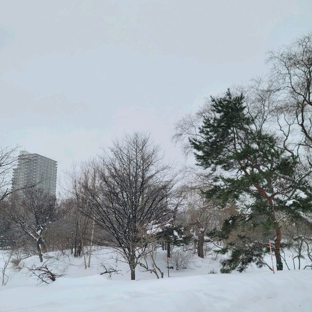 일본여행 홋카이도 나카지마공원