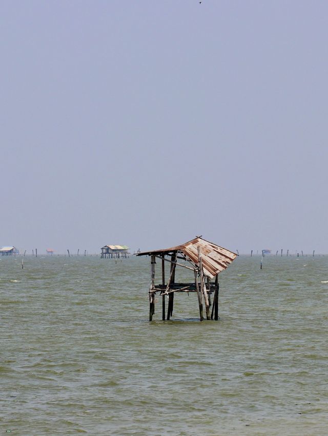 เส้นทางเลียบเลาะชายฝั่ง ปากแม่น้ำบางตะบูน เพชรบุรี