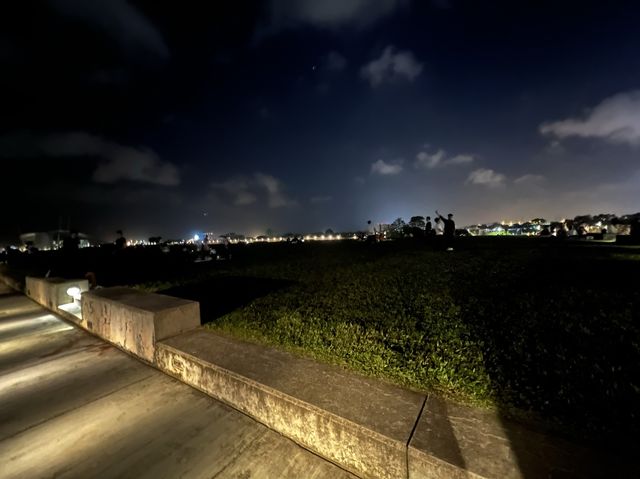 Best Night View of the Singapore Skyline