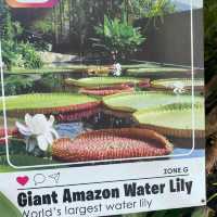 The secret garden in One Utama mall