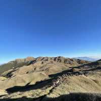 Majestic Mt Pulag 