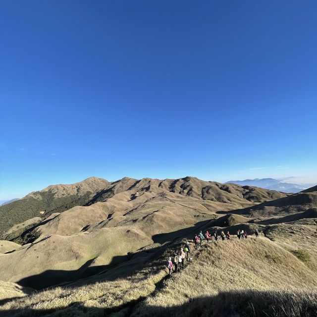 Majestic Mt Pulag 