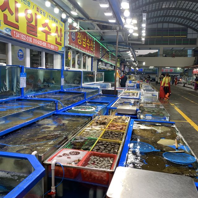 해질녘 윤슬이 특히 예쁜 충청도 대표 바다 🌊