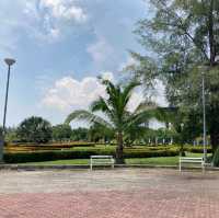 The City Park