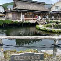【ペットとお出かけ】忍野八海を散策！