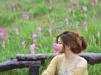 หยิบหมอกหยอกดอกกระเจียว 🌷 at ชัยภูมิ