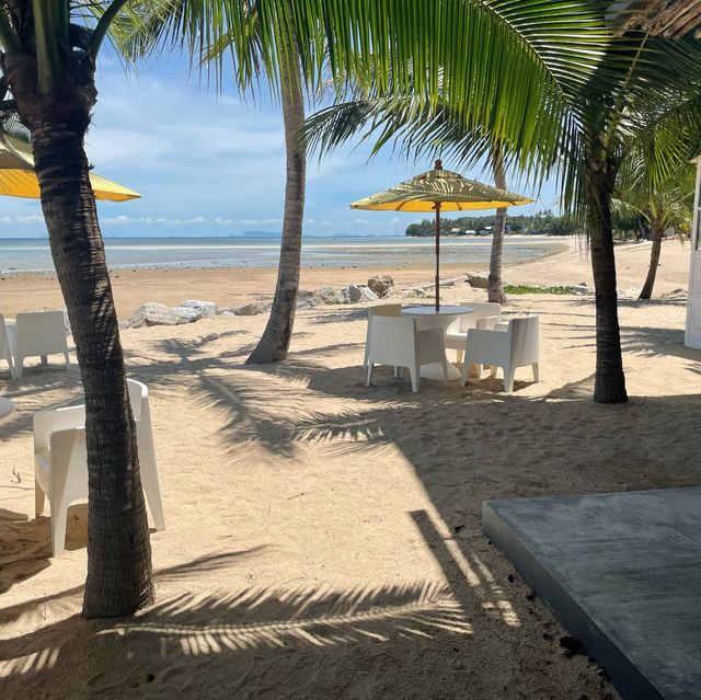 Chardonnay on the beach 