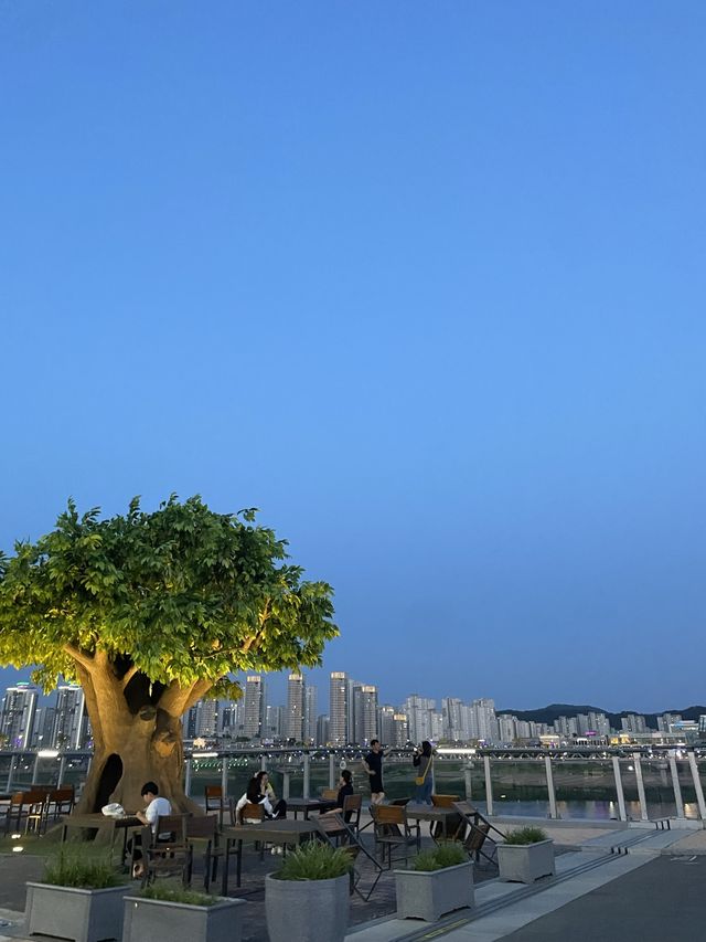 아이들과 함께 산책하기 좋은 곳, 야경이 예쁜 세종시 금강 보행교✨