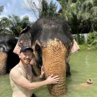 The best day of your life with Elephants 🐘🌿