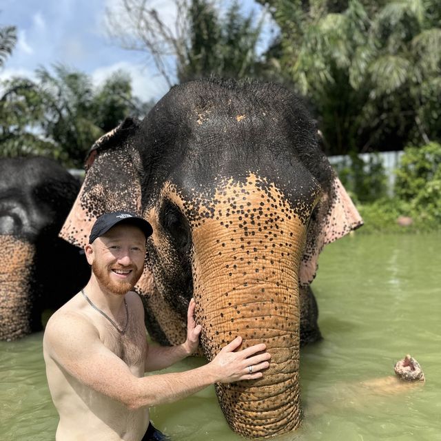The best day of your life with Elephants 🐘🌿