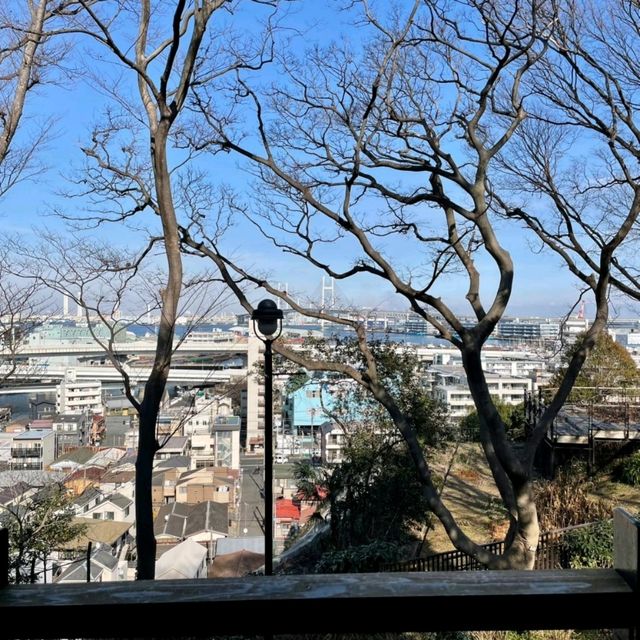 【神奈川】横浜🌼港の見える丘公園