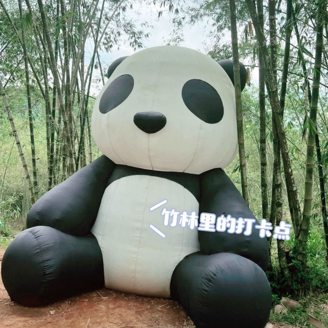 美到不要不要的竹林🌳🌳