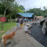 龍潭觀光大池