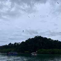 Best Adventure in Langkawi - Megawatersports