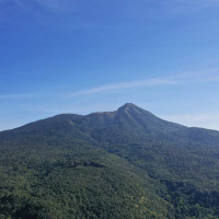Mount Popa 🏔️ 🌺 