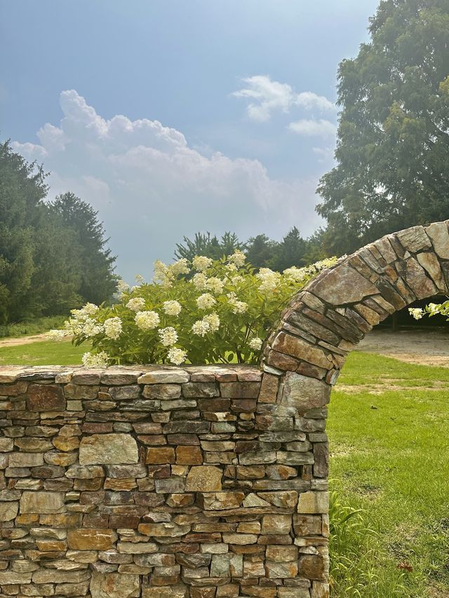 파주 가볼만한 곳, 벽초지수목원🌿💚