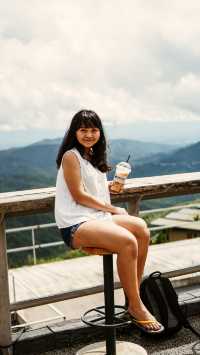 PINO LATTE Restaurant and Cafe
