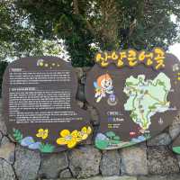 제주도 산책하기 좋은 산양큰엉곶