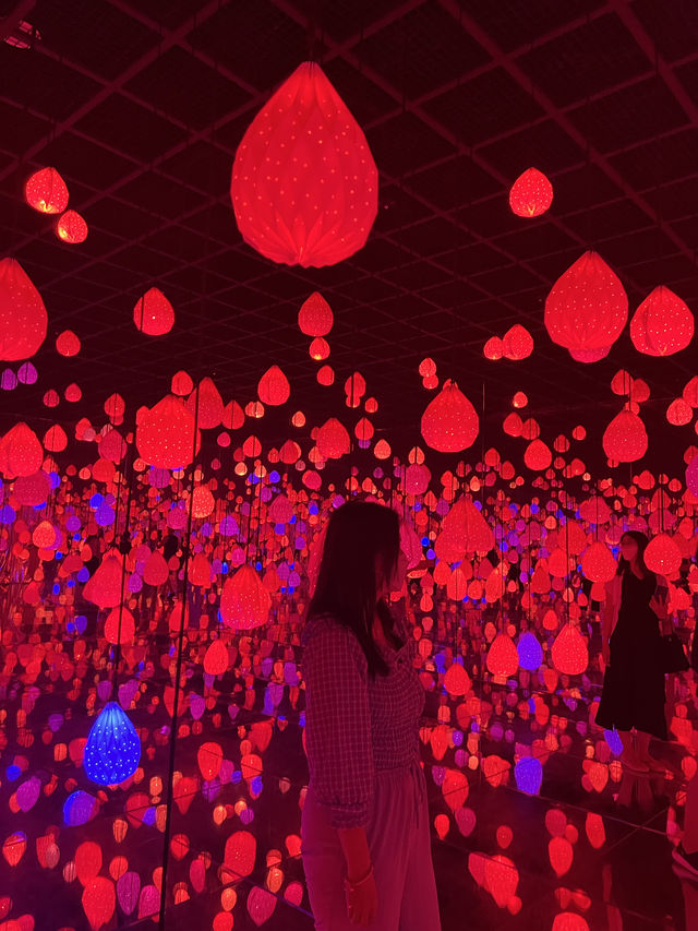 ARTE MUSEUM VALLEY - A Korean version of Teamlab 