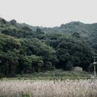 探秘香港"綠野仙蹤〞谷埔/鹿頸