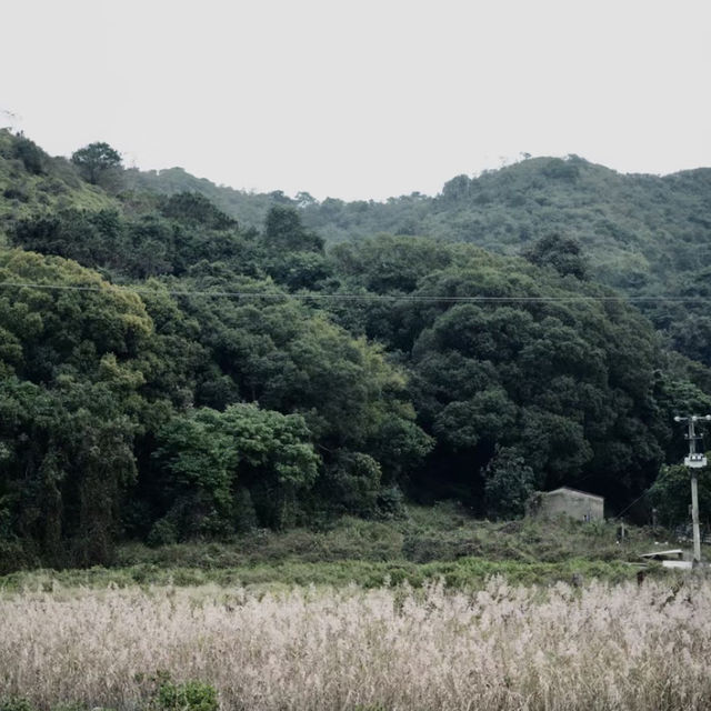 探秘香港"綠野仙蹤〞谷埔/鹿頸