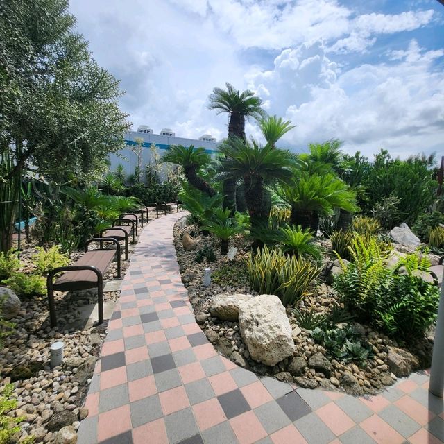 Cactus Garden at Changi Airport T1